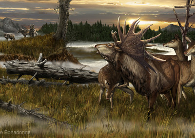 MEGALOCEROS - “Dinosaurs in the Flesh” traveling exhibition - Tempera and Digital - 2012 - Scientific supervisor: Simone Maganuco